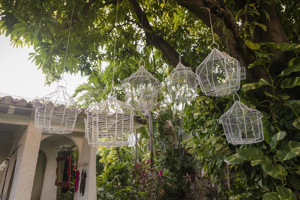 Hotel Boutique Casa Rosalia บาเยดูปาร์ ภายนอก รูปภาพ
