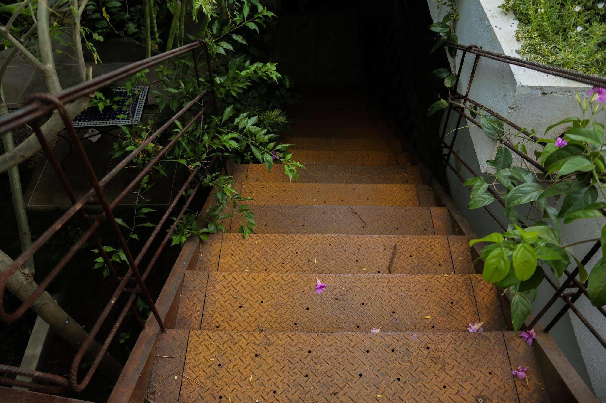 Hotel Boutique Casa Rosalia บาเยดูปาร์ ภายนอก รูปภาพ